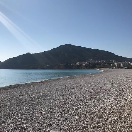 Victoria Albir Daire El Albir Dış mekan fotoğraf