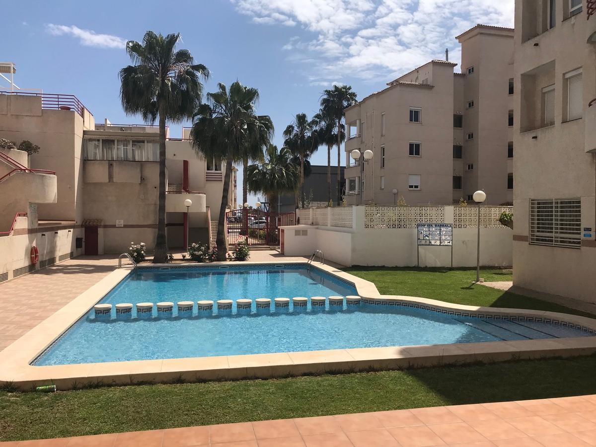 Victoria Albir Daire El Albir Dış mekan fotoğraf